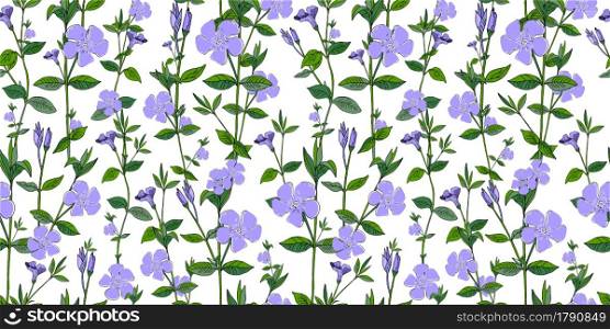 V nca m nor Fritillaria. Pattern for textile and fabric. Little blue flowers on a white background. Periwinkle, cornflower. Wildflowers. Shabby style chic, provence.. V nca m nor Fritillaria. Pattern for textile and fabric. Little blue flowers on a white background. Periwinkle, cornflower. Wildflowers. Shabby style chic, provence