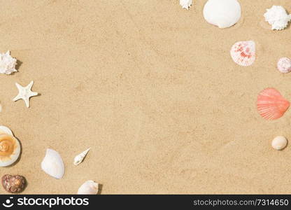 vacation and summer holidays concept - seashells on beach sand. seashells on beach sand