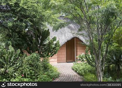 vacation home in nature forest sout africa