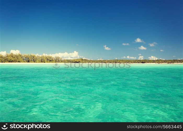vacation, travel and background concept - blue sea or ocean, beach and forest
