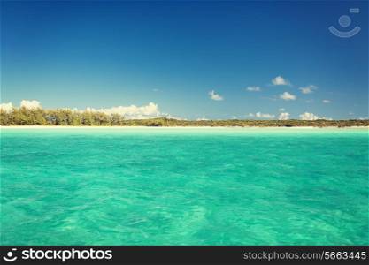 vacation, travel and background concept - blue sea or ocean, beach and forest