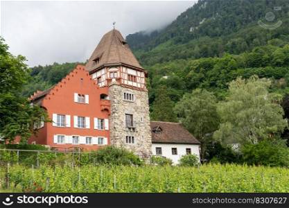 Vaduz, FL / Liechtenstein - 16 June 2020  view of the historic 13th-century Red House in Vaduz in Liechtenstein
