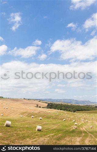 Val d&rsquo;Orcia, Tuscany region, Italy. A typical landscape.