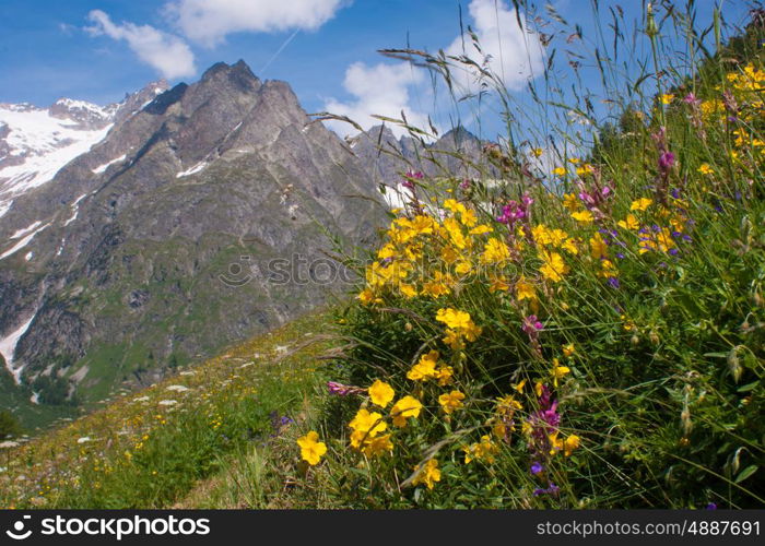 val ferret,valais,swiss