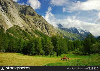 Val Veny, Mont Blanc massif, west Alps, Italy.