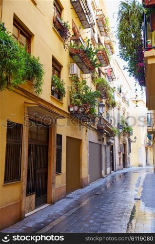 Valencia barrio del Carmen street facades in Spain