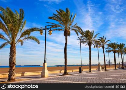 Valencia La Malvarrosa beach palm trees promenade in Spain