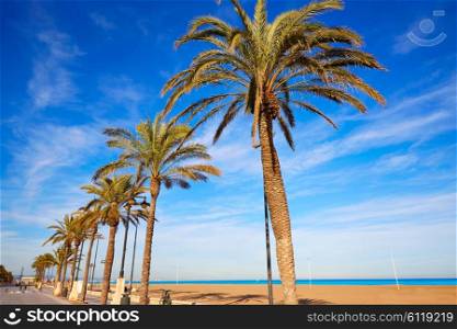 Valencia La Malvarrosa beach palm trees promenade in Spain
