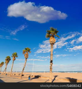 Valencia Malvarrosa Las Arenas beach palm trees in Patacona of Alboraya spain