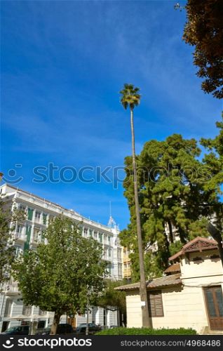 Valencia Parterre park high palm tree in Spain