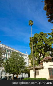 Valencia Parterre park high palm tree in Spain