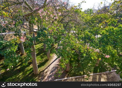 Valencia Turia park gardens view at Spain