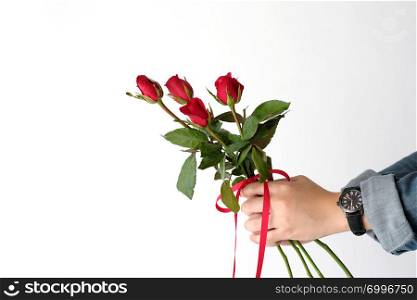 Valentine concept, Man hands holding red roses on white background