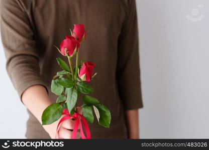 Valentine concept, Man holding red roses on white background