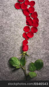 Valentine day card with a single beautiful red rose and its petals spread on a vintage fabric background in the shape of a wave.