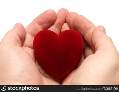 valentine day - man&acute;s hands with heart