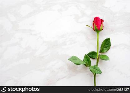 Valentine?s day background, template, Red rose, love symbol, on white marble background with copy space for text, flat lay