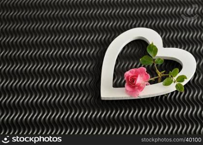 Valentines day. A white heart with a pink rose isolated against a black background