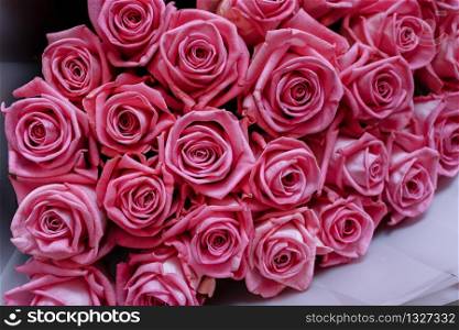 Valentines day background with luxury pink roses. womans day.. Valentines day background with luxury pink roses. womans day