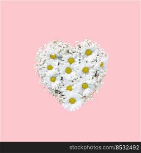 Valentines Day heart made of white flowers isolated on pink background. Love fashion. Square layout with copy space. Valentines Day heart made of white flowers isolated on pink background