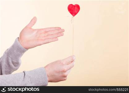 Valentines Day. Male hand holding showing red little heart on stick. Man presents palm with love sign symbol.. Male hand with little heart on stick.
