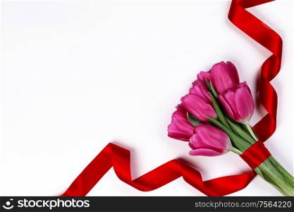 Valentines day pink tulip flowers and red ribbon isolated on white background. Tulip flowers and ribbon on white