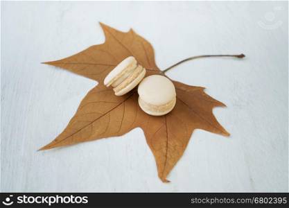 vanilla flavoured macaroon set on maple leaf with white wood background&#xA;