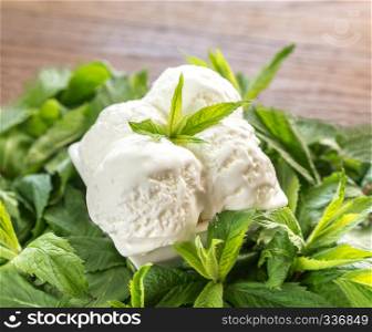 Vanilla ice cream in mint