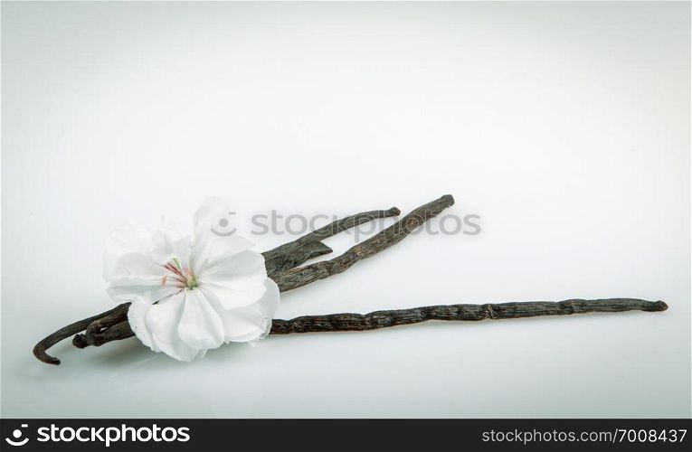 Vanilla Pods And Flower