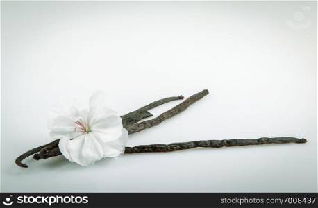 Vanilla Pods And Flower