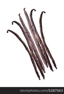 Vanilla pods isolated on the white background