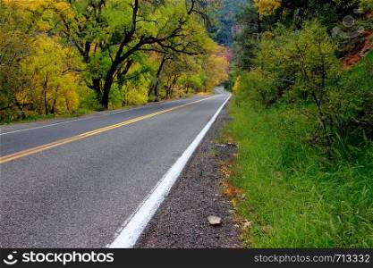 Vanishing diagonal road between the fall colors of Oak Creek Canyon Arizona