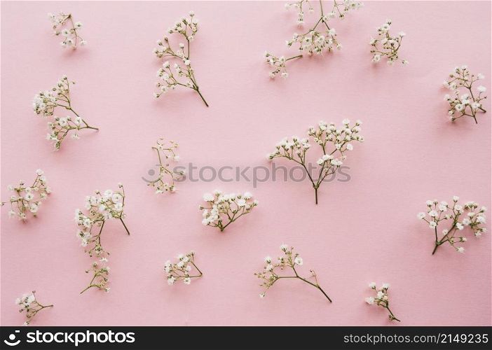 variation little baby s breath flowers light pink background