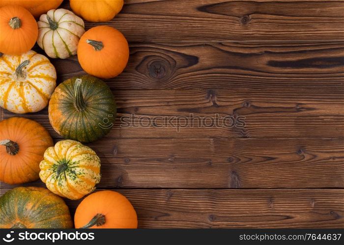 Variation of pumpkins on white wooden table. Thanksgiving Halloween holiday decoration. Autumn concept with copy space for text. Variation of pumpkins on wooden table