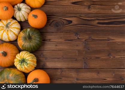 Variation of pumpkins on white wooden table. Thanksgiving Halloween holiday decoration. Autumn concept with copy space for text. Variation of pumpkins on wooden table