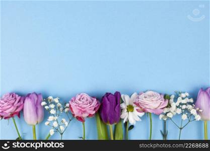 variety beautiful flowers arranged bottom blue background