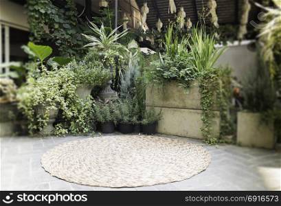 Variety green plant pots display in the garden, stock photo