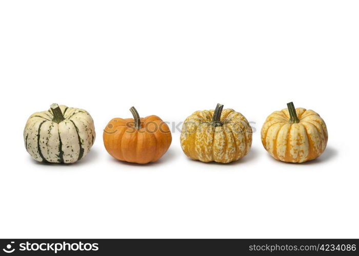 Variety of baby pumpkins in a row on white background
