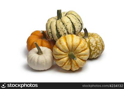 Variety of baby pumpkins on white background