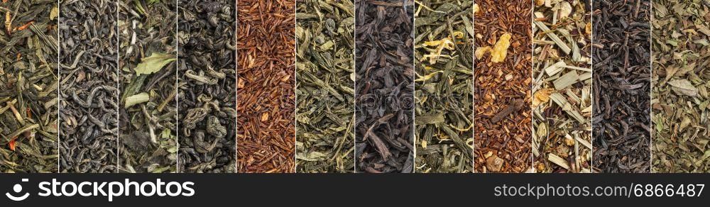 variety of black, green, white, red and herbal tea - a collage of macro background shots of loose leaves