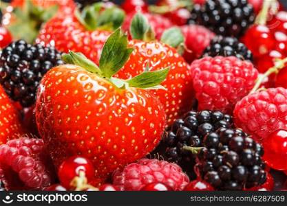Variety of different berries background