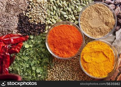 Variety of Indian spices