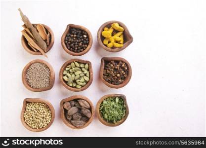 Variety of Indian spices in oil lamps on white background