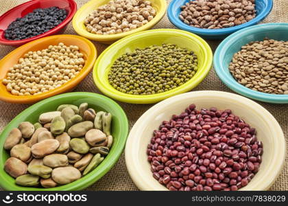 variety of legumes (fava bean, mung bean, soy, green lentils, adzuki, black, pinto, chickpea) in colorful ceramic bowls on canvas