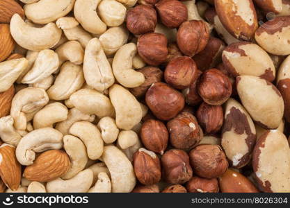 Variety of Mixed Nuts as a background - close up image