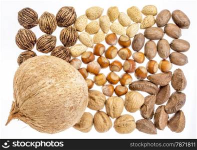 variety of nuts (coconut, pecan, almond, black and English walnuts, hazelnuts, and Brazilian nuts)) on a white background