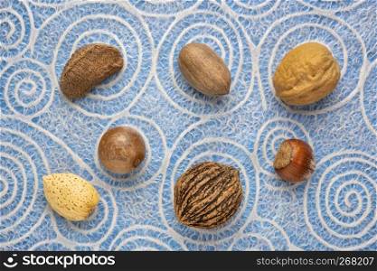 variety of nuts in shells (Brazilian, pecan, English walnut, hazelnut, black walnut, macadamia, almond) against Japanese lace paper with spiral pattern