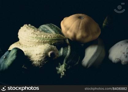Variety of raw zucchini on a dark rustic background.. Young raw zucchini
