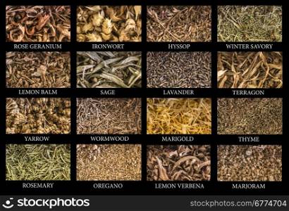 Variety of spices and herbs ON BLACK BAGROUND