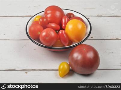 Variety of tomato cultivars in enamel bowl on weathered wood
